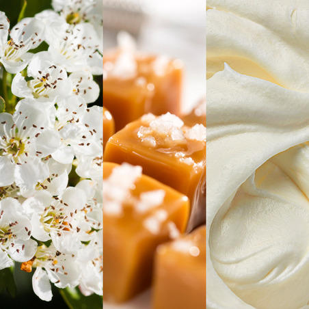 Delicate cream and caramel are in the middle of the composition, accompanied by a green note of hawthorn. Their union creates a uniquely-green gourmet accord that charms with its complex beauty.
