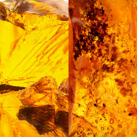 Sensual amber and resins are the foundation of this fragrance, making it sound rich and oriental.