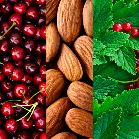 Almonds, Cherries, Red Leaves, Currants